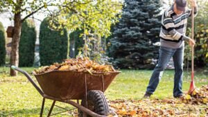 Garden Waste Removal York
