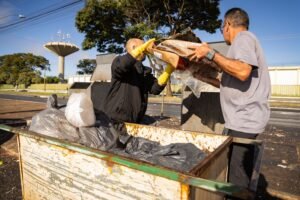 Waste Removal York